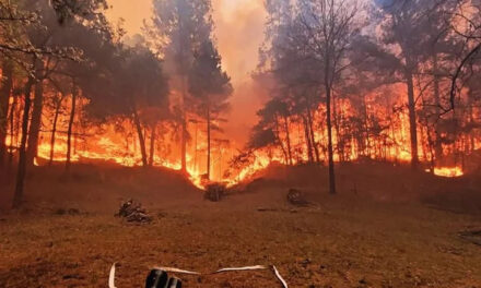 Detuvieron a un vecino de Calamuchita por los incendios forestales