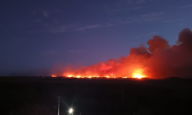 Continúan con las tareas para controlar el incendio en la zona de Juan W. Gez