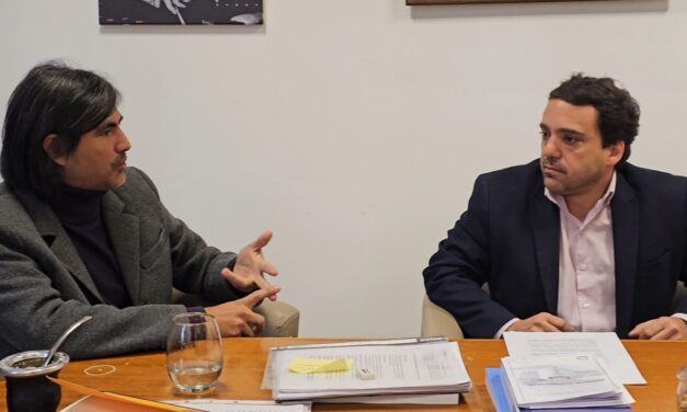 Proponen una ley para que kinesiólogos atiendan sin derivación médica en San Luis