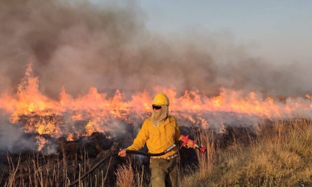 Corrientes, arrasada por los incendios forestales