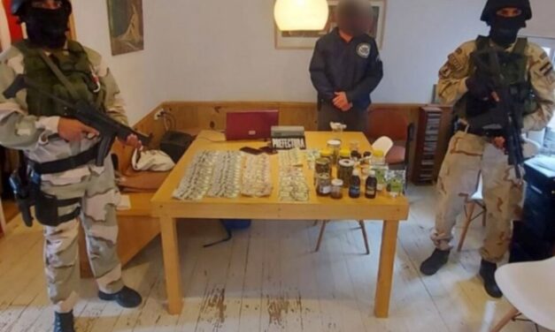 Detuvieron a una odontóloga por cultivar cannabis para tratar su fibromialgia