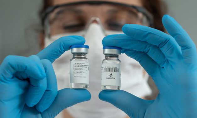 Científicos argentinos desarrollaron un suero de caballos que impide la duplicación del virus