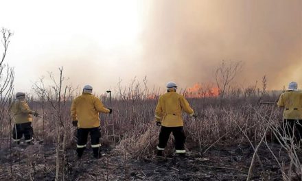 Incendios en el Delta: todos los caminos conducen a los productores agropecuarios