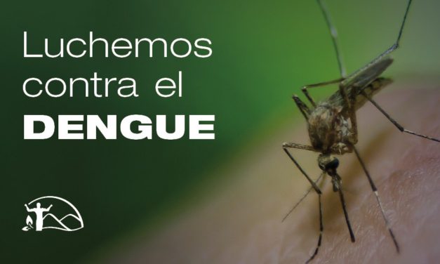 Dengue: Acciones Preventivas