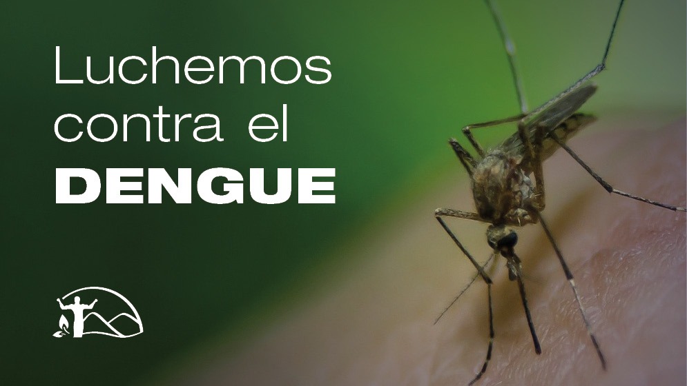 Dengue: Acciones Preventivas