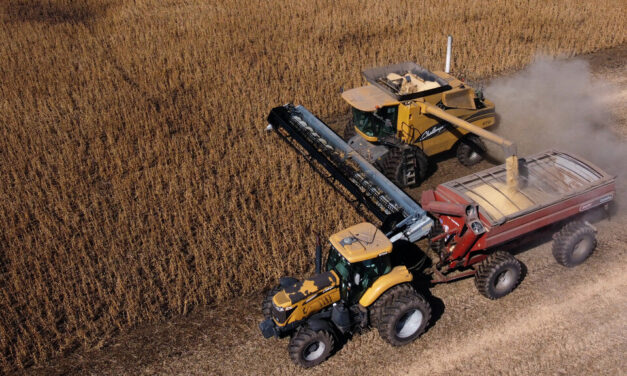 Los productores que se beneficiaron del «dólar soja» no podrán acceder al mercado de cambios