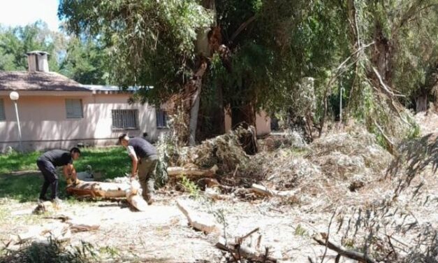 A días del inicio de clases, avanzan con celeridad los trabajos de Infraestructura