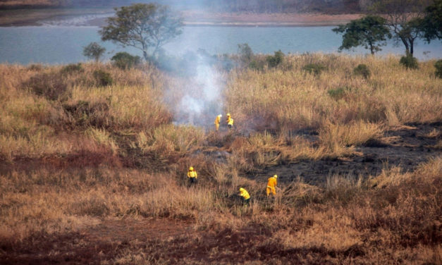 Qué hay detrás de los incendios