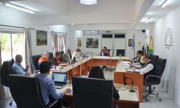 Merlo: Piden reglamentar una ordenanza para detección temprana de TEA