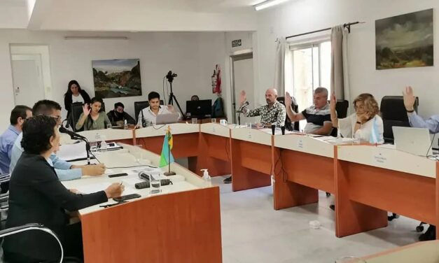 Merlo: Se aprobó el “acceso de personas con perros guías” en transportes públicos