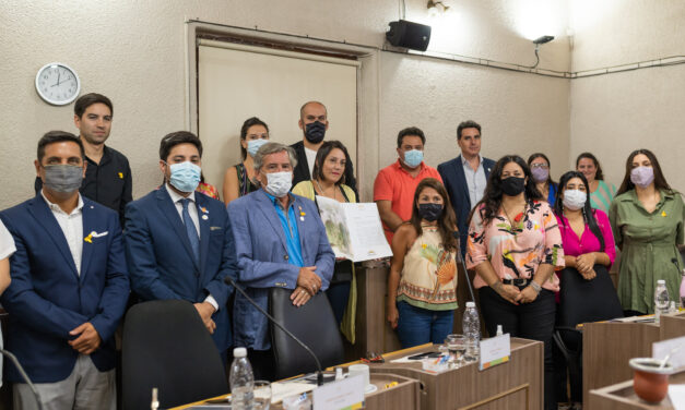 Se definieron las comisiones del HCD y se declaró el “mes amarillo” por la endometriosis