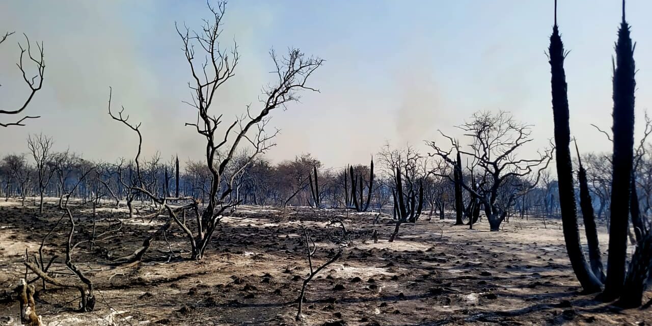 Contuvieron el incendio del paraje Balcarce