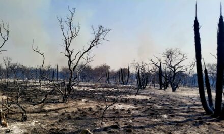 Contuvieron el incendio del paraje Balcarce