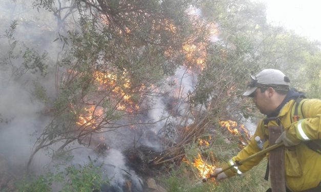 Incendio entre Nogolí y Valle de Pancanta: las llamas continúan y se ubican en una zona inaccesible