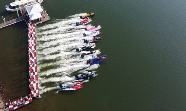 Gobierno y Municipio contra el Medio Ambiente