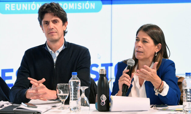 Con aliados cada vez más críticos, el Gobierno no logró el dictamen para las Bases en el Senado