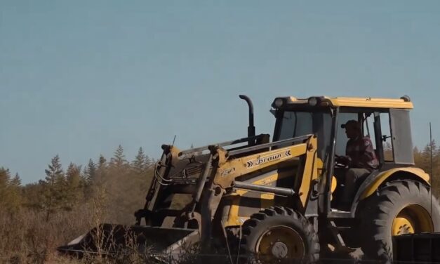 Los menonitas buscan deforestar 10 mil hectáreas en Arizona