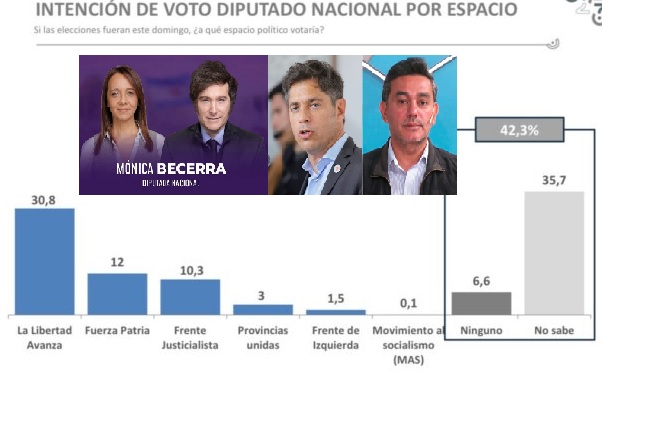 San Luis: La Libertad Avanza y Fuerza Patria disputan el centro de la escena electoral