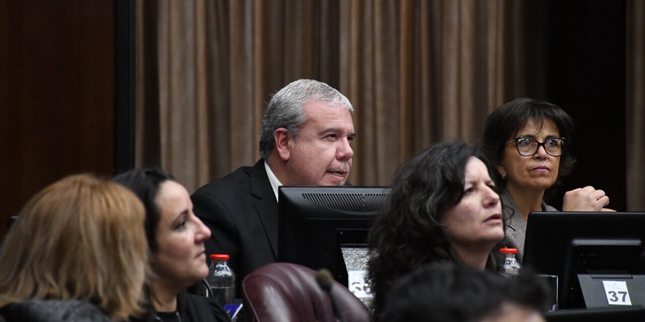 Diputados aprobó la Ley de Fortalecimiento del Proceso de Aprendizaje de Habilidades Matemáticas