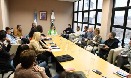 Diputados recibió a la ministra de Salud para continuar el trabajo en la ley de carrera sanitaria