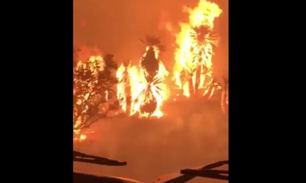 Un gran incendio azota Papagayos