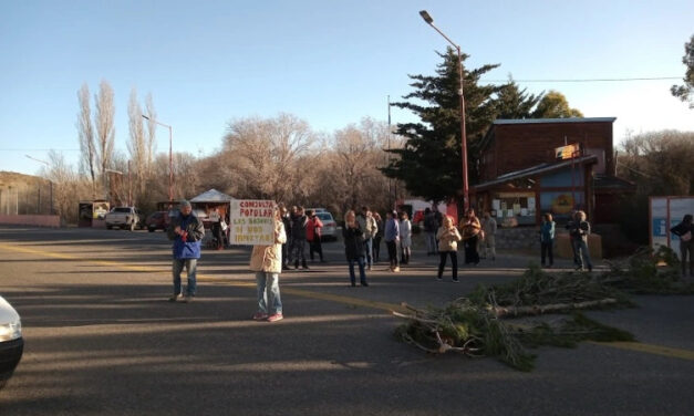 Pararon la tala en Potrero “hasta que se realicen todos los estudios pertinentes”