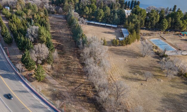 Potrero de los Funes: Tala ilegal, mentiras y desidia