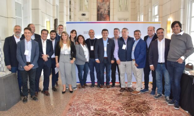 ProFe: “Lo que se busca es fortalecer al PRO desde el interior”