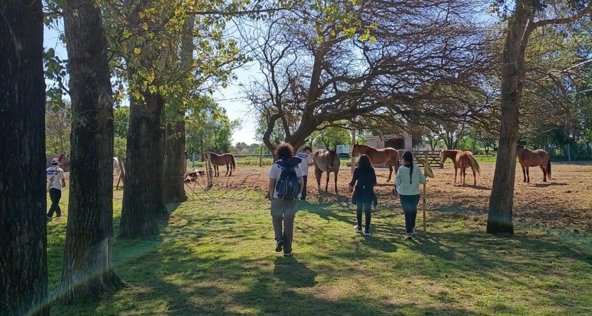 Villa Mercedes creó un “Bosque bebé”: un lugar gratuito para despedir a las mascotas y plantar vida