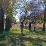 Villa Mercedes creó un “Bosque bebé”: un lugar gratuito para despedir a las mascotas y plantar vida