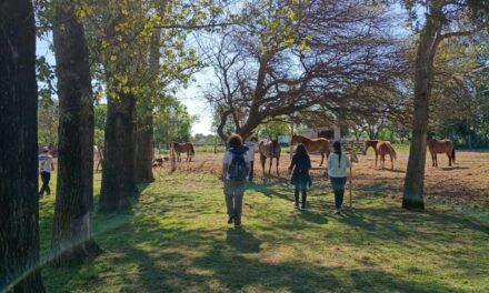 Villa Mercedes creó un “Bosque bebé”: un lugar gratuito para despedir a las mascotas y plantar vida