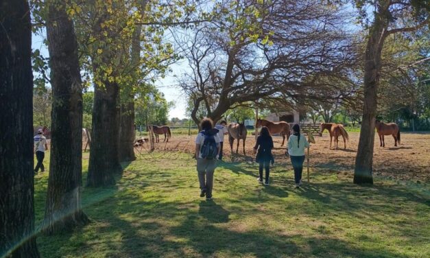 Villa Mercedes creó un “Bosque bebé”: un lugar gratuito para despedir a las mascotas y plantar vida