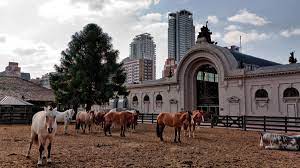 Para la Sociedad Rural Argentina este año van a faltar US$25.000 millones
