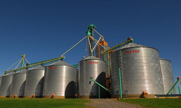 El Banco Central dispuso un dólar diferencial para que el campo liquide la cosecha