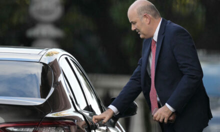 Cierre de Vialidad Nacional: motosierra para todos, negocios para pocos