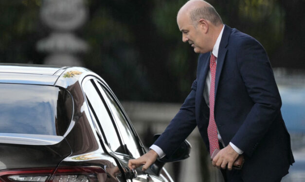 Cierre de Vialidad Nacional: motosierra para todos, negocios para pocos