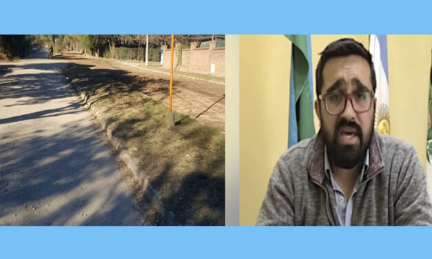 Otro que Tamayo: Álvarez Pinto también tala árboles autóctonos